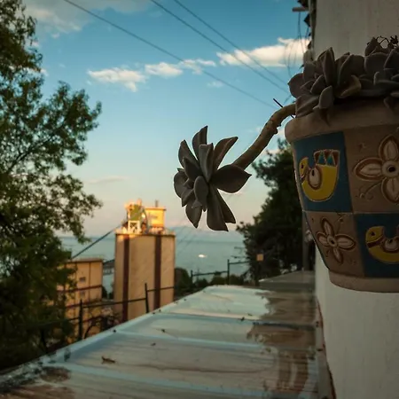 Nice Greek Kavala